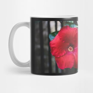 Hibiscus 3 Mug